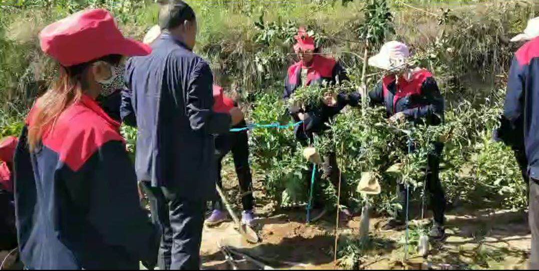 泓源力量助力脫貧攻堅(jiān)—— 學(xué)好果園管理技能 鋪好脫貧致富之路(圖3) 泓源力量助力脫貧攻堅(jiān)—— 學(xué)好果園管理技能 鋪好脫貧致富之路(圖3)